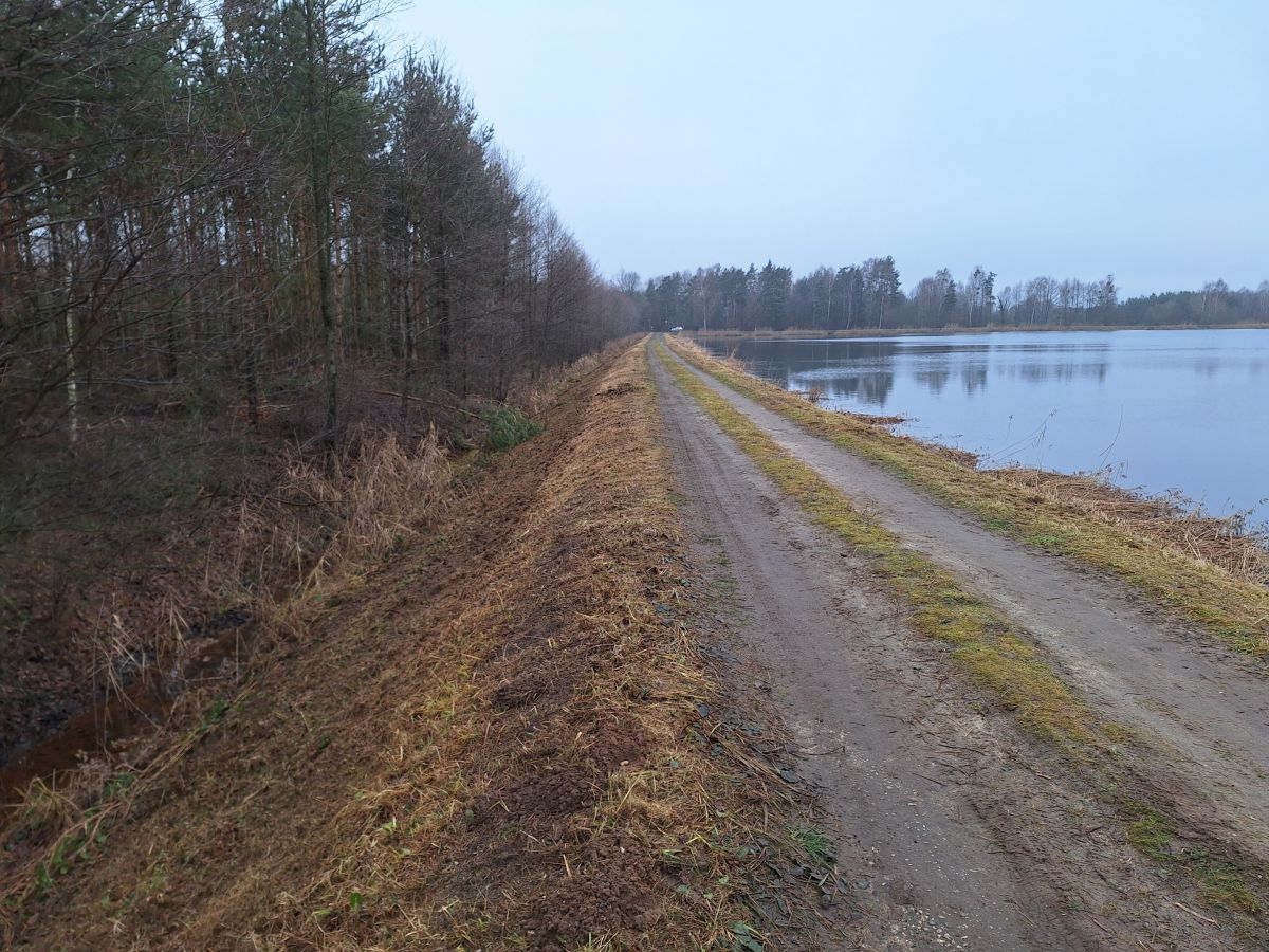 Grobla na stawach Hadra w Parku Krajobrazowym Lasy nad Górną Liswartą. Po lewej strony od grobli widać gęsty las iglasty, a prawa sąsiaduje z taflą wody. Powierzchnia i i zbocza grobli zostały starannie wykoszone z wysokich traw i zarośli. Niebo jest pochmurne, panuje spokojna, jesienno-zimowa aura