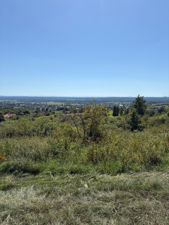 Szeroka panorama ze wzgórza na zieloną dolinę z licznymi drzewami i krzewami pod czystym, błękitnym niebem. W oddali widać linię horyzontu i zarysy zabudowań.