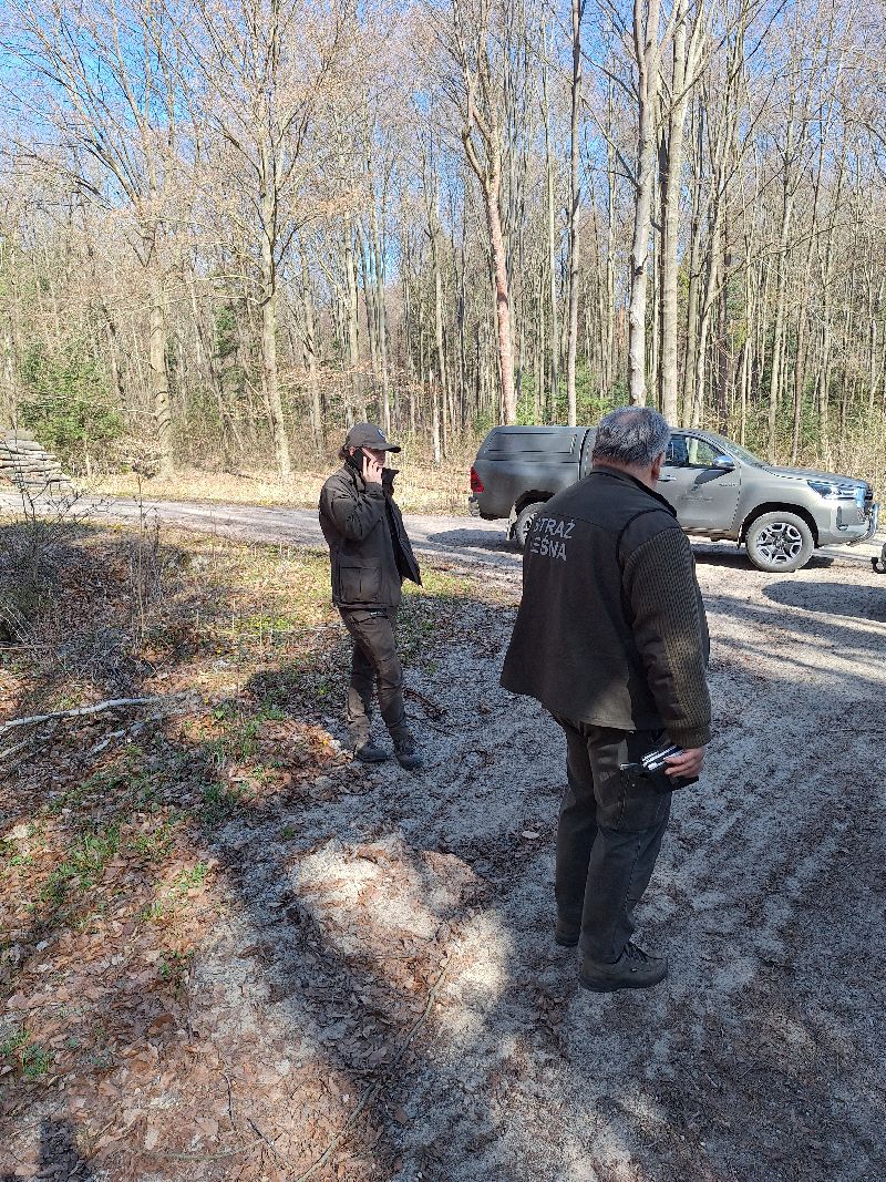 Dwóch strażników leśnych stoi na leśnej drodze — jeden rozmawia przez telefon, a drugi trzyma urządzenie w ręku. W tle zaparkowany samochód terenowy i drzewa bez liści.	