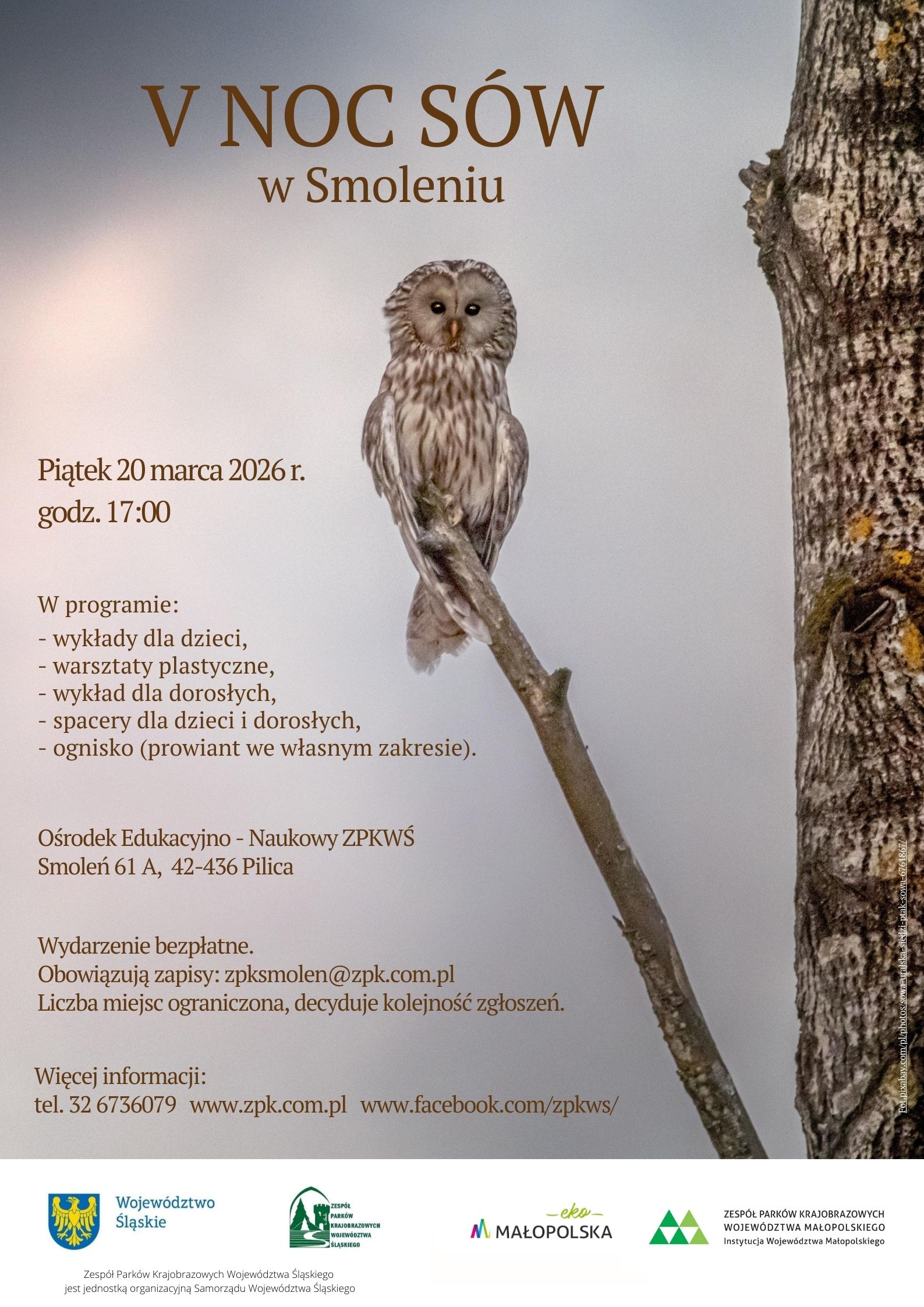 Plakat przedstawia zaproszenie na V Noc Sów w Smoleniu. Na plakacie po prawej stronie znajduje się drzewo, z którego wychodzi odgałęzienie. Na tej gałęzi siedzi sowa – puszczyk uralski.  