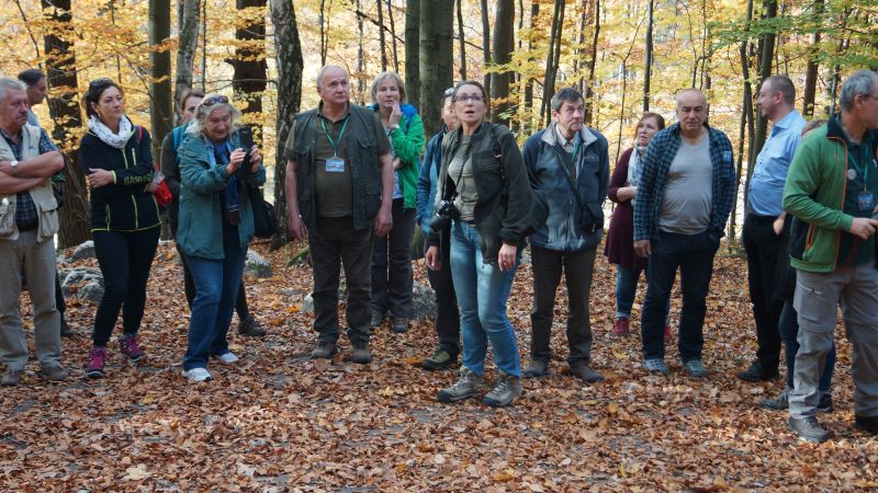 Ewa Żurowska Oleś opowiada o planowanych zabiegach na ostańcu skalnym Brama Twardowskiego w rezerwacie Parkowe fot. P. Kokoszka